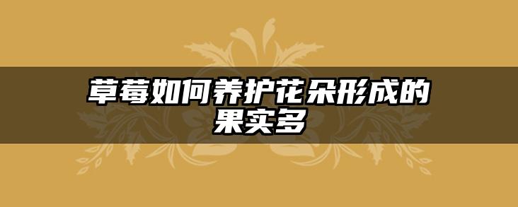 草莓如何养护花朵形成的果实多