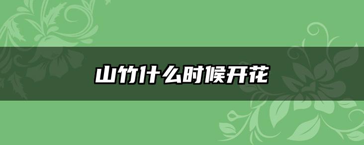 山竹什么时候开花