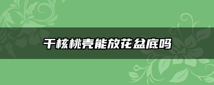 干核桃壳能放花盆底吗