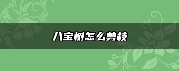八宝树怎么剪枝