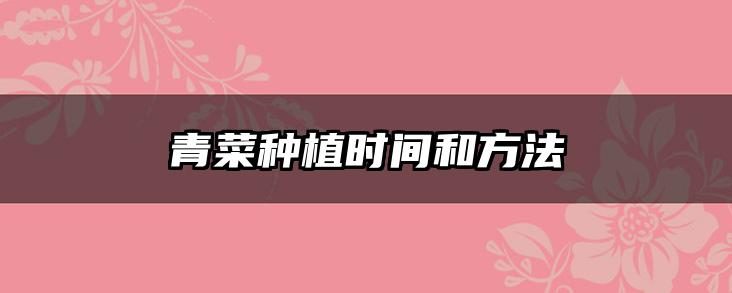 青菜种植时间和方法