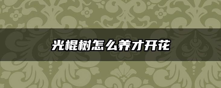 光棍树怎么养才开花