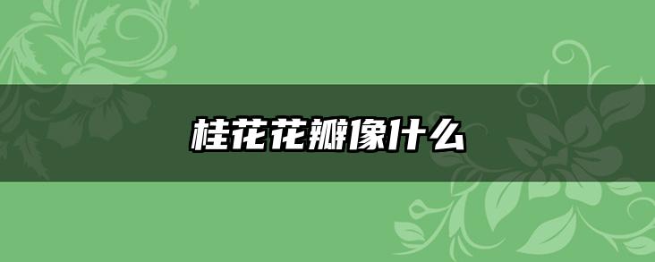 桂花花瓣像什么