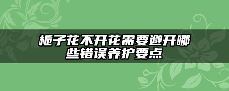 栀子花不开花需要避开哪些错误养护要点