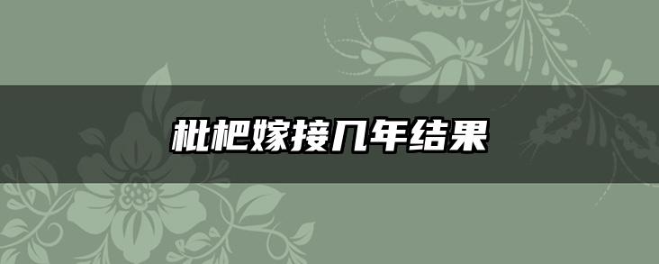 枇杷嫁接几年结果