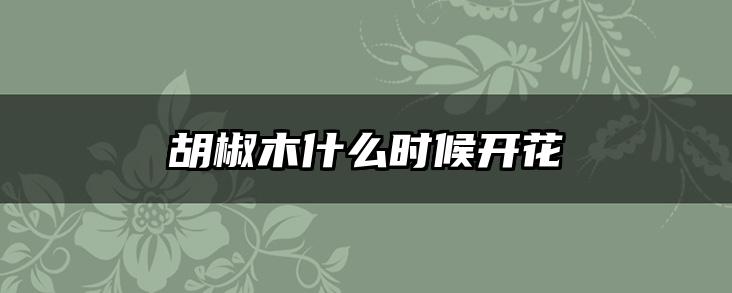 胡椒木什么时候开花
