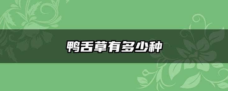 鸭舌草有多少种