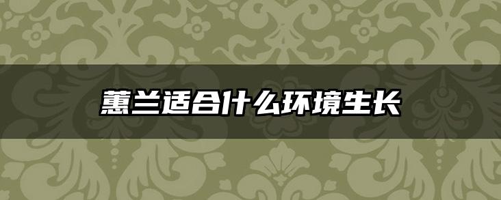 蕙兰适合什么环境生长