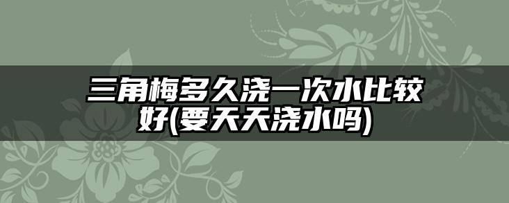 三角梅多久浇一次水比较好(要天天浇水吗)