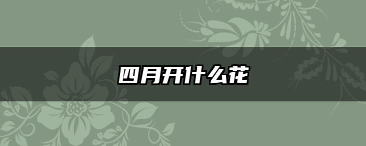 四月开什么花
