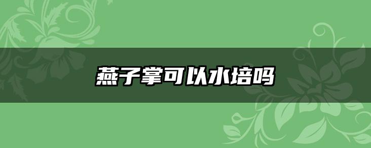 燕子掌可以水培吗