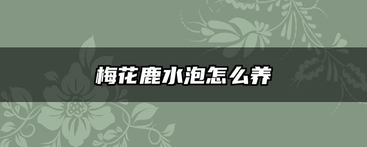 梅花鹿水泡怎么养