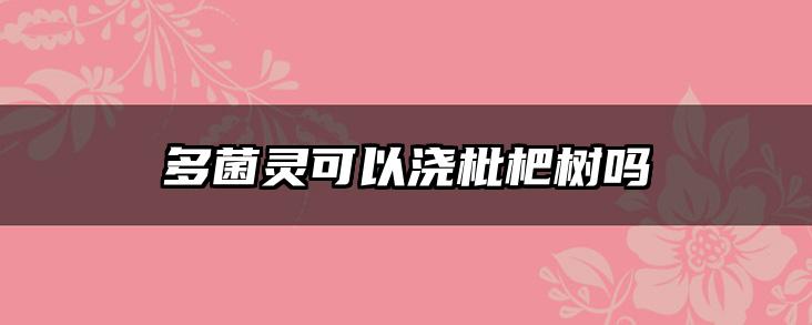 多菌灵可以浇枇杷树吗