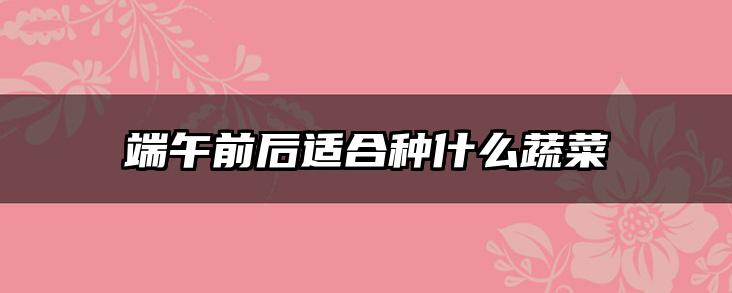 端午前后适合种什么蔬菜