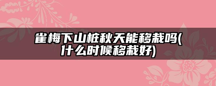 雀梅下山桩秋天能移栽吗(什么时候移栽好)
