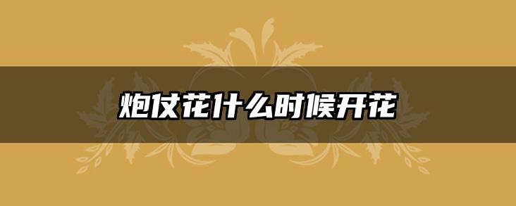 炮仗花什么时候开花