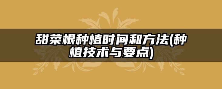 甜菜根种植时间和方法(种植技术与要点)
