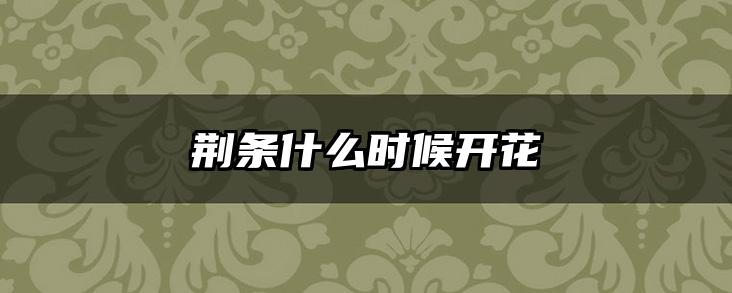 荆条什么时候开花