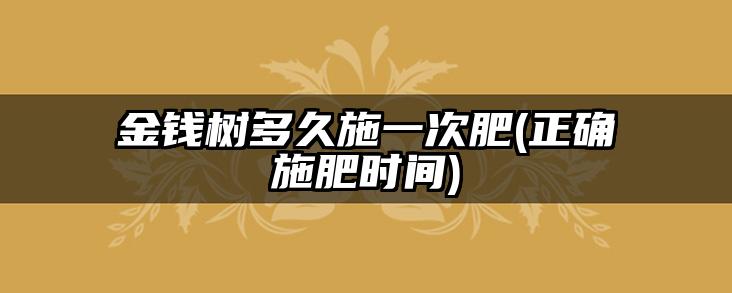 金钱树多久施一次肥(正确施肥时间)