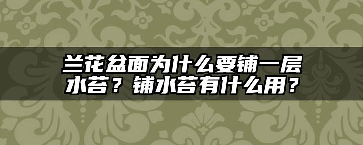兰花盆面为什么要铺一层水苔?铺水苔有什么用?