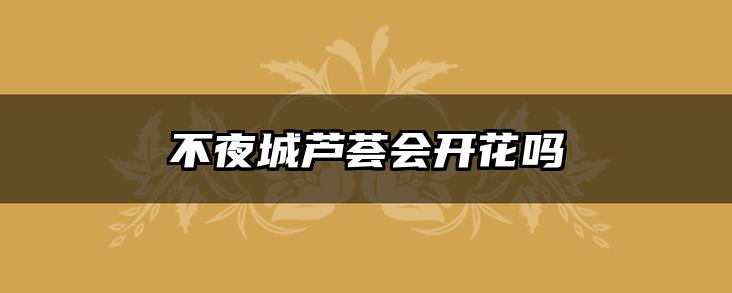 不夜城芦荟会开花吗