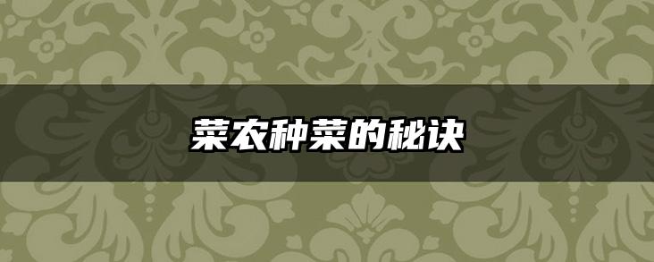 菜农种菜的秘诀