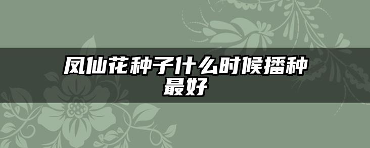 凤仙花种子什么时候播种最好
