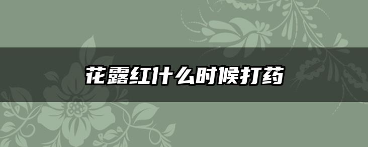 花露红什么时候打药