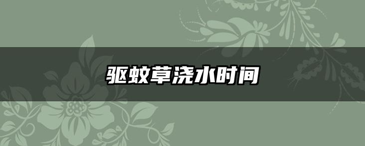 驱蚊草浇水时间