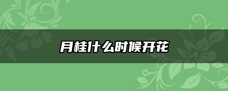 月桂什么时候开花