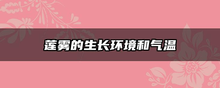 莲雾的生长环境和气温