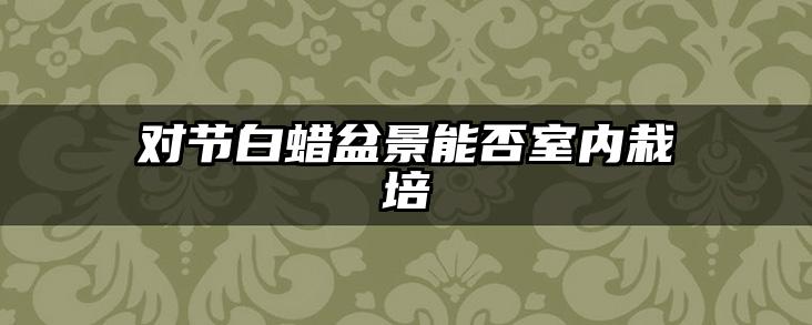 对节白蜡盆景能否室内栽培
