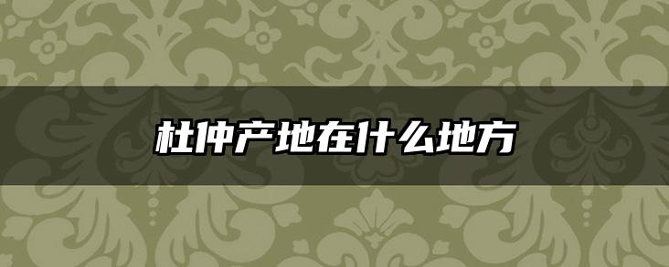 杜仲产地在什么地方