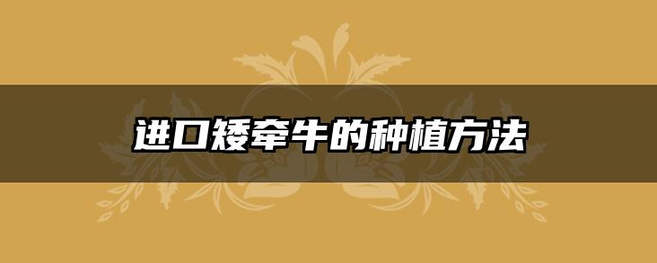 进口矮牵牛的种植方法