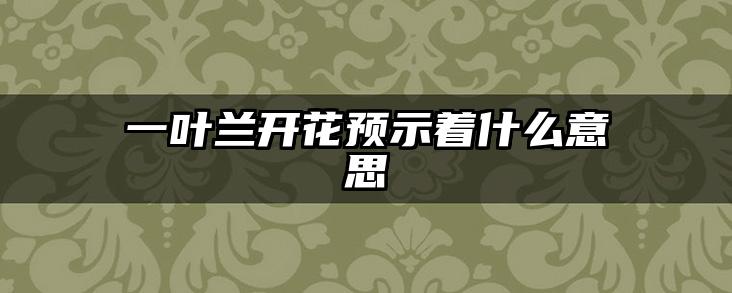 一叶兰开花预示着什么意思