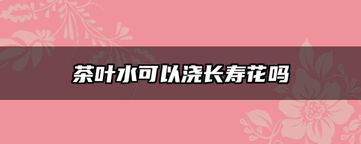 茶叶水可以浇长寿花吗