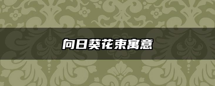 向日葵花束寓意