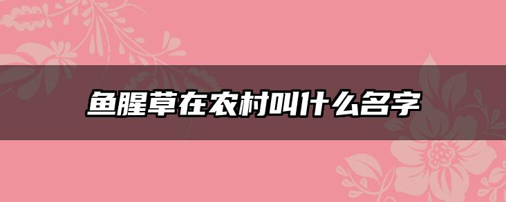鱼腥草在农村叫什么名字