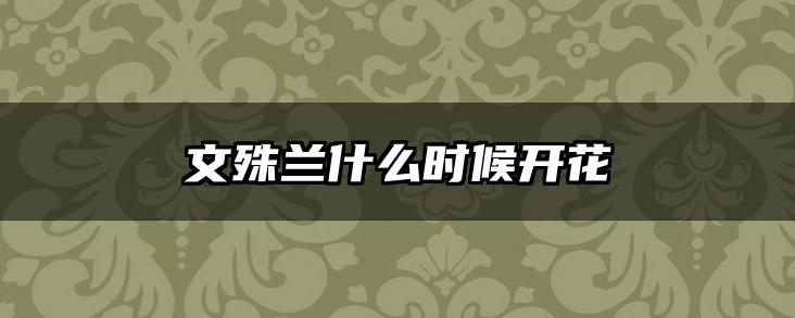 文殊兰什么时候开花