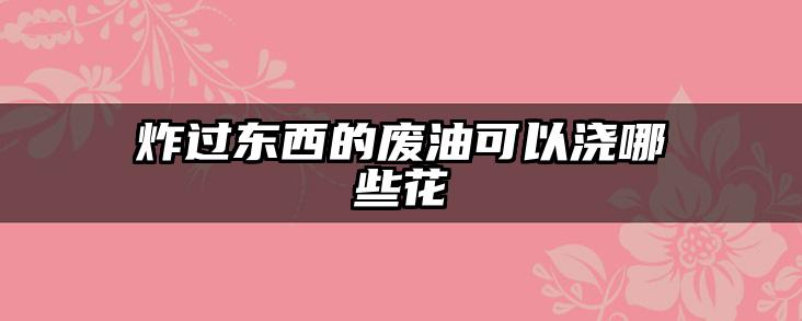 炸过东西的废油可以浇哪些花