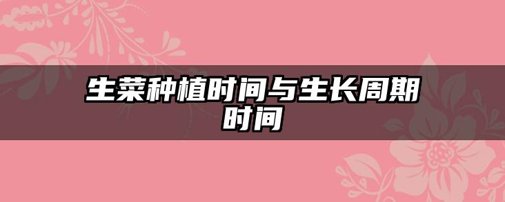 生菜种植时间与生长周期时间