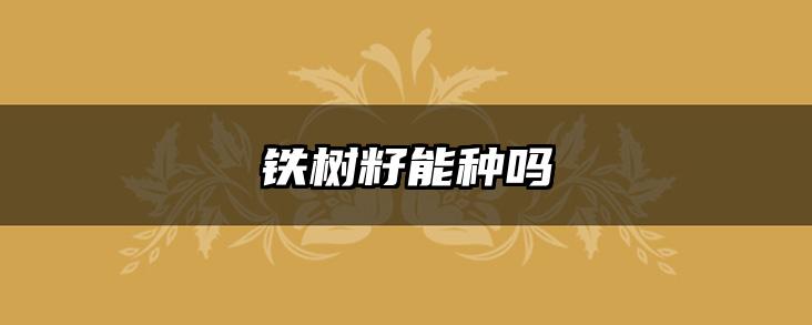 铁树籽能种吗