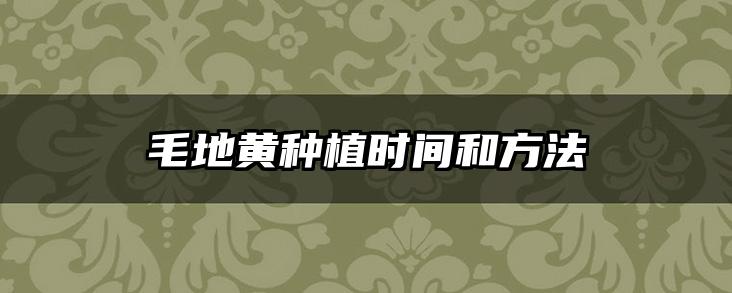 毛地黄种植时间和方法