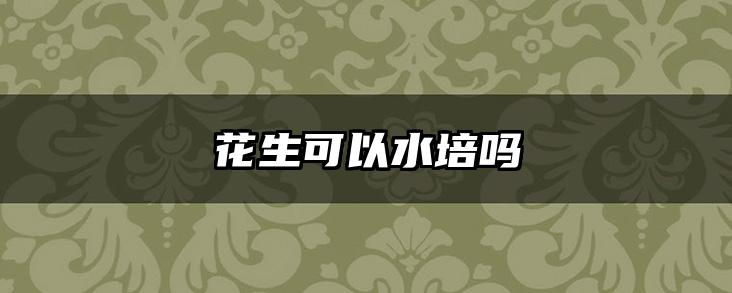花生可以水培吗