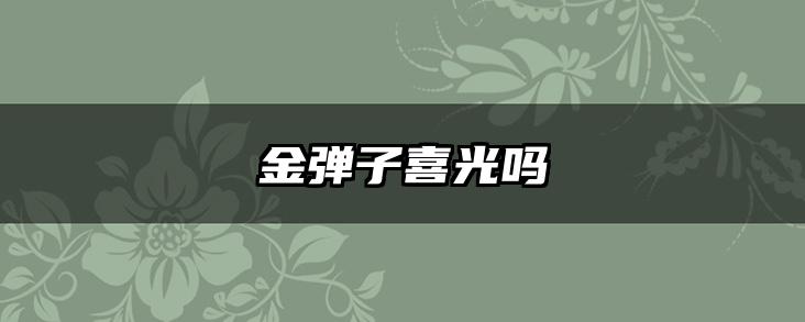 金弹子喜光吗