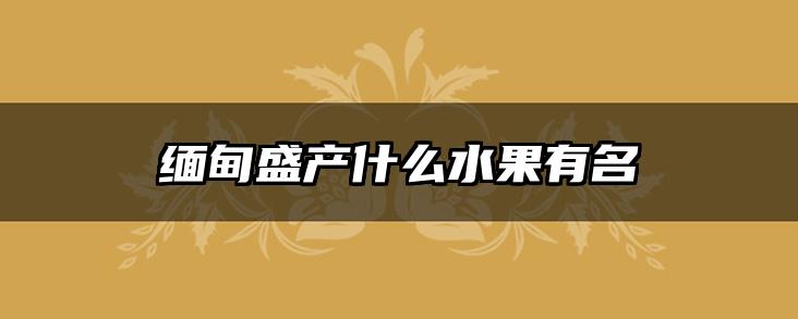缅甸盛产什么水果有名