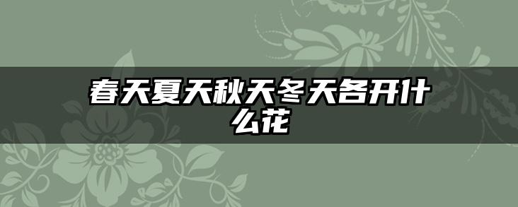 春天夏天秋天冬天各开什么花