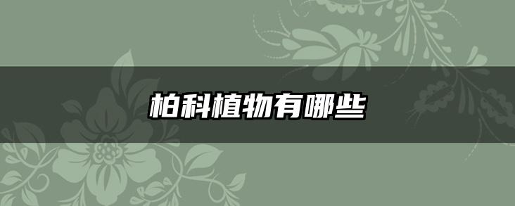 柏科植物有哪些