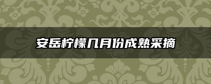 安岳柠檬几月份成熟采摘