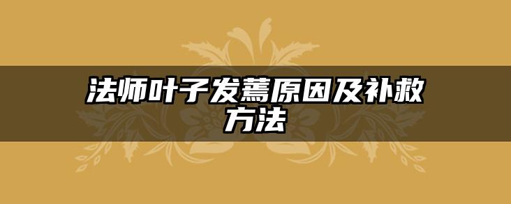法师叶子发蔫原因及补救方法
